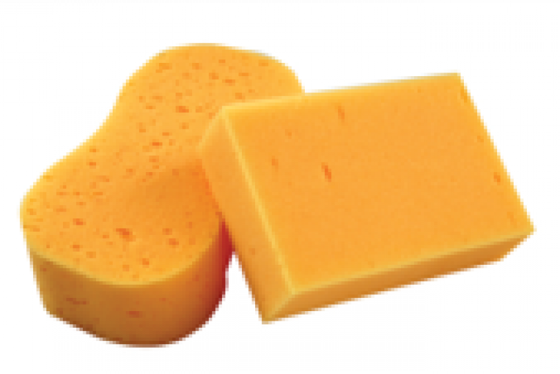 Sponge